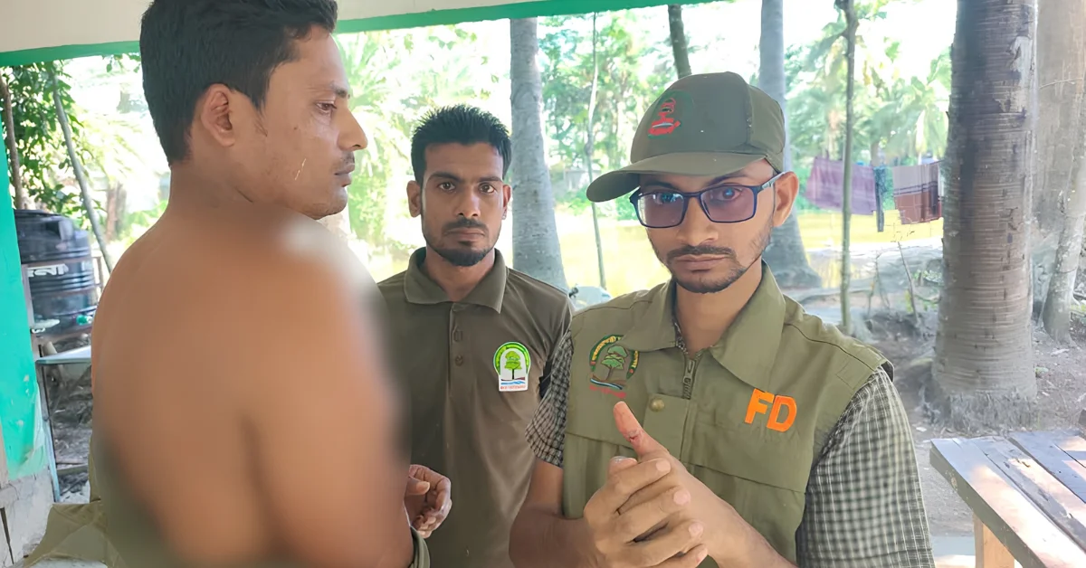সুন্দরবন-মীরর বাংলা