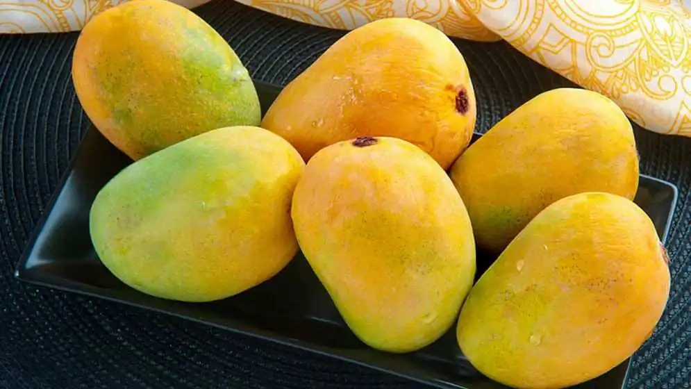 আম সংরক্ষণের উপায়