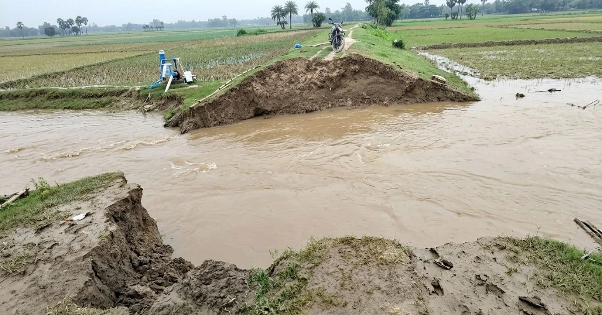 যমুনা নদীর অব্যাহত ভাঙন চিত্র