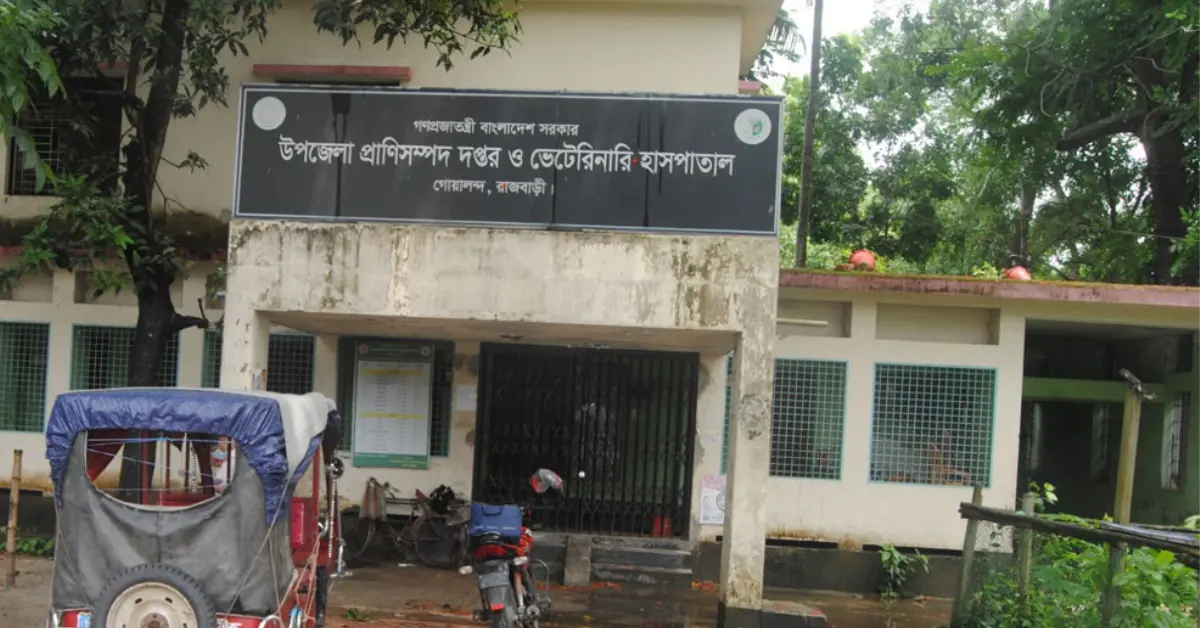 গবাদিপশুর চিকিৎসায় কম্পাউন্ডারের দায়িত্ব