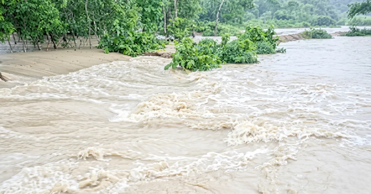 উত্তরের চার জেলায় বন্যার আশঙ্কা