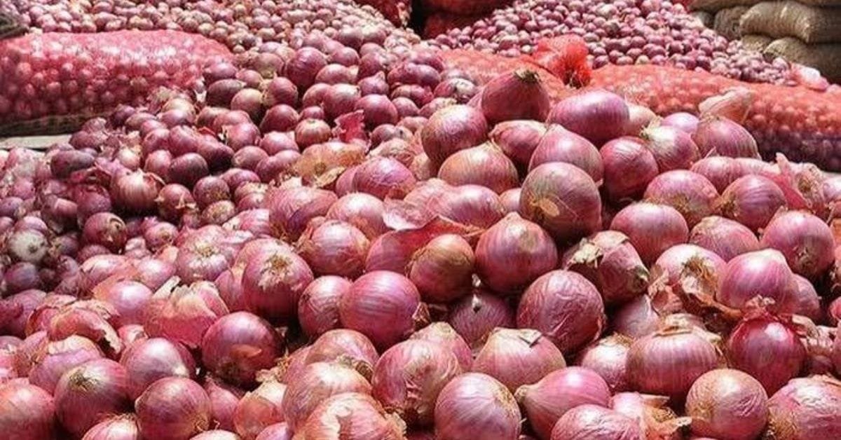 পেঁয়াজ সংরক্ষণ