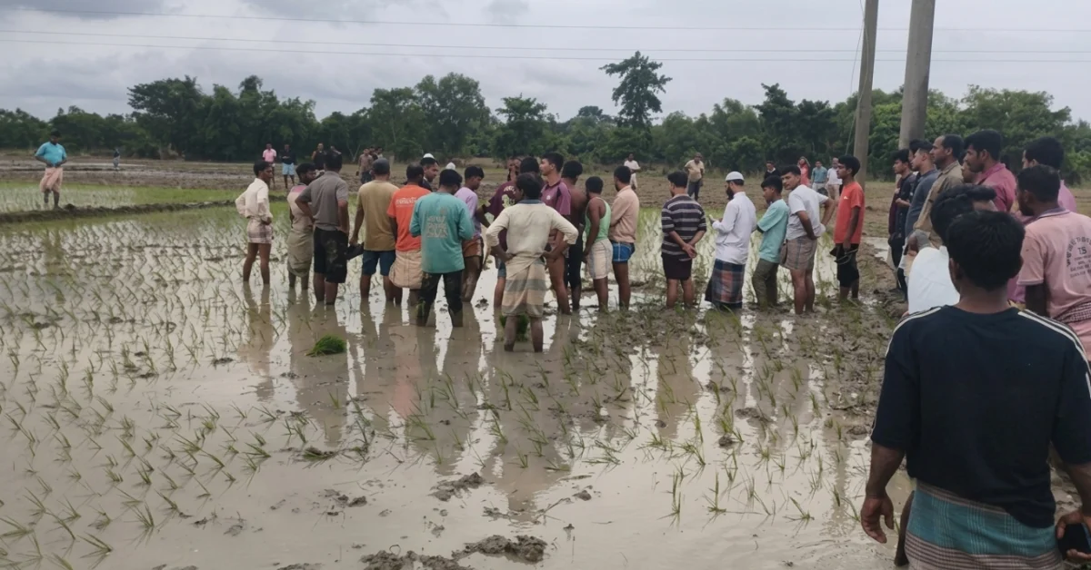 চট্টগ্রামের ফটিকছড়িতে বিদ্যুৎস্পর্শে দুই কৃষকের মৃত্যু।