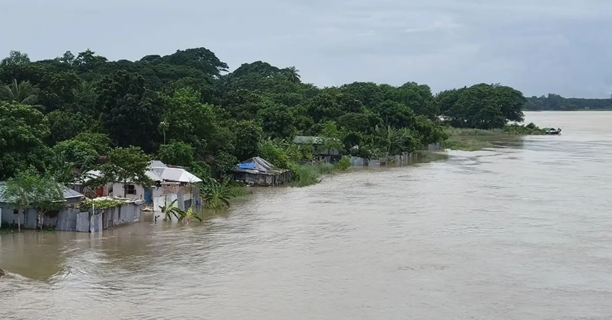 পদ্মার পানিতে কুষ্টিয়ার নিম্নাঞ্চল প্লাবিত