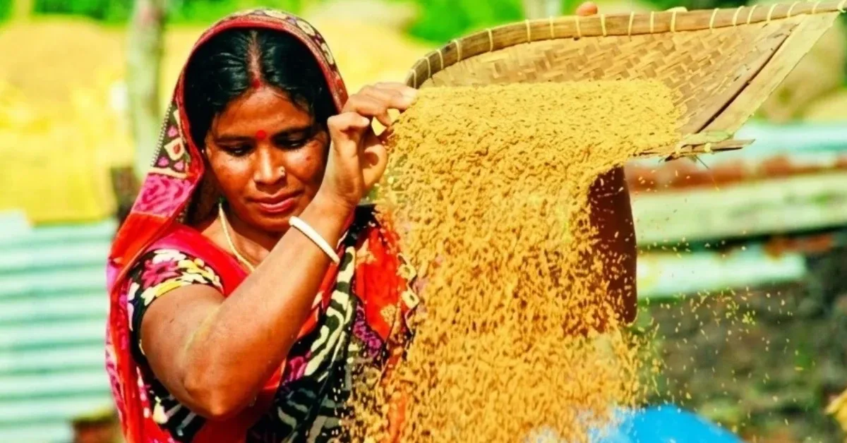 বরিশালের গ্রামে শীতলপাটি বুনে সংসারে অবদান রাখছেন এক নারী।