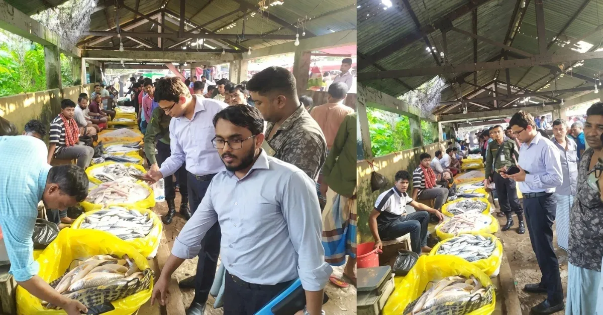 বিষাক্ত রঙ মেশানো মাছ বিক্রির দায়ে জরিমানা, নষ্ট করা হলো ১৭ হাজার টাকার মাছ।