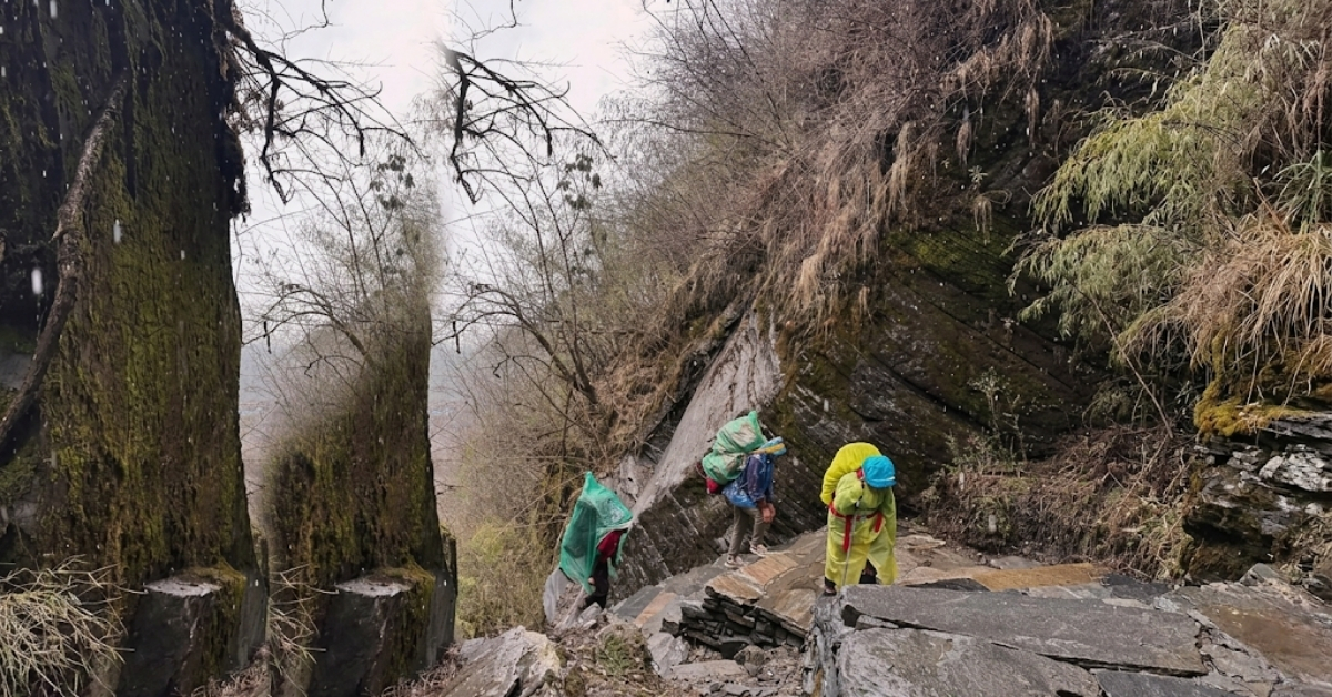 নেপালের পাহাড়ি পথে ভারী ব্যাগ নিয়ে উঠছেন ট্রেকিং গাইড ও পোর্টাররা
