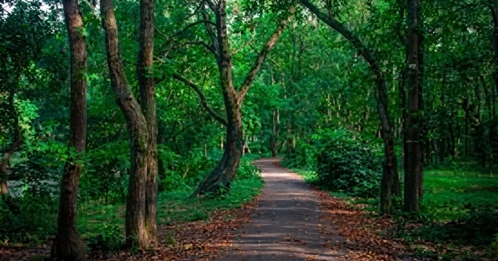ঢাকা বিভাগ ভ্রমণ গাইড: ইতিহাস, সংস্কৃতি ও দর্শনীয় স্থান 2 ঢাকা বিভাগ